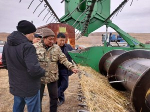 Сельскохозяйственная кампания по уборке зерновых входит в завершающую стадию