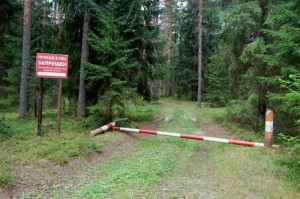 С 17 мая 2018 года введено ограничение пребывания граждан в лесах