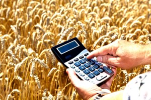 Два начинающих фермера Дульдургинского района получат региональную субсидию