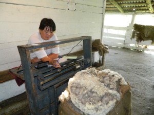 Овцеводческие хозяйства Забайкалья получат 10 миллионов рублей за реализованную шерсть
