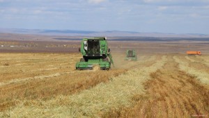 Итоги урожая зерновых культур в Агинском Бурятском округе